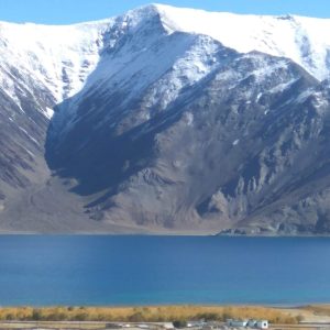 Peaceful Homestay in Merak - Pangong Tso