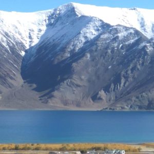 Peaceful Homestay in Merak - Pangong Tso